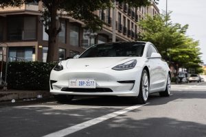 Tesla Vietnam entry