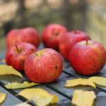 Apple October launches