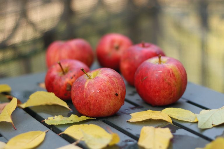 Apple October launches